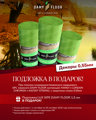 Damy Сентябрь Акция Подложка